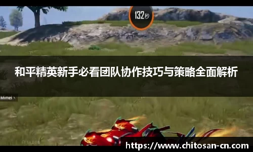 和平精英新手必看团队协作技巧与策略全面解析