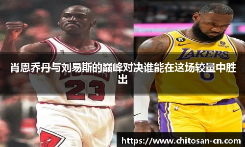 肖恩乔丹与刘易斯的巅峰对决谁能在这场较量中胜出